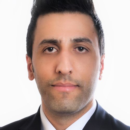 https://www.adu.ac.ae/images/default-source/adu-revised-layout-images/clg-faculty/dr-hatem.jpg?sfvrsn=b80aa85e_4