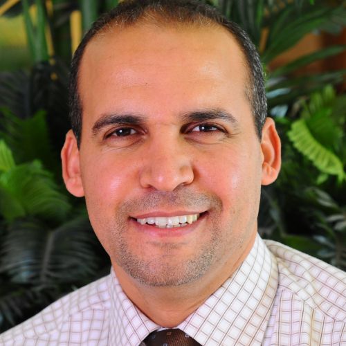 https://www.adu.ac.ae/images/default-source/adu-revised-layout-images/clg-faculty/dr-mourad-elhadef.jpg?sfvrsn=42c31058_4