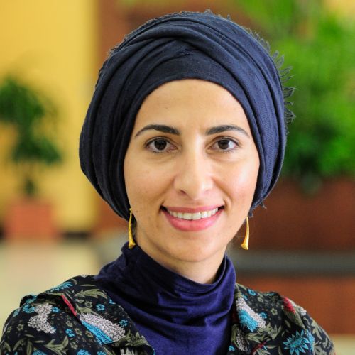 https://www.adu.ac.ae/images/default-source/adu-revised-layout-images/clg-faculty/dr-sana-rawaqa.jpg?sfvrsn=69fc23e5_4