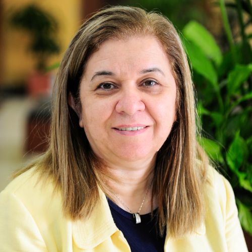 https://www.adu.ac.ae/images/default-source/adu-revised-layout-images/clg-faculty/hadil-abu-khalifeh1.jpg?sfvrsn=43aef096_4