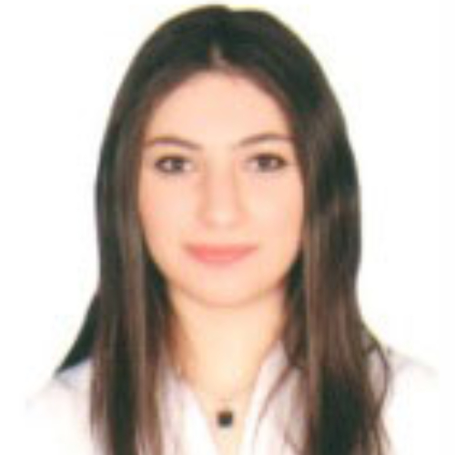 https://www.adu.ac.ae/images/default-source/adu-revised-layout-images/clg-faculty/ms-yasmin-m-m-alsharif.jpg?sfvrsn=9f54ae80_4