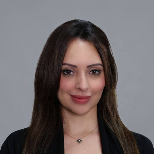 https://www.adu.ac.ae/images/default-source/facultymembers/cob/dahlia-mansoor.jpg?sfvrsn=9efc64e4_4