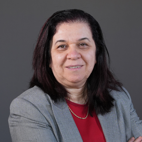 https://www.adu.ac.ae/images/default-source/facultymembers/coe/hadil-abu-khalifeh.jpg?sfvrsn=f6614f43_4