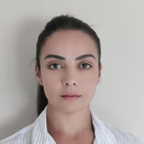 https://www.adu.ac.ae/images/default-source/facultymembers/col/dr-rawan-al-louzi.jpg?sfvrsn=fed180a6_4